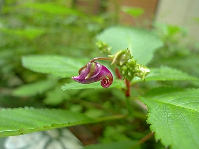 f0182173_21435883.jpg
