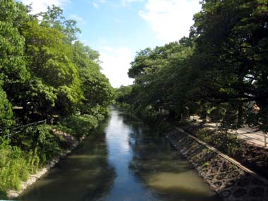 f0196374_5275162.jpg