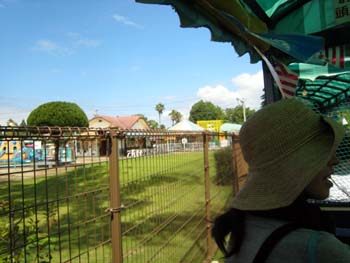 f0196374_532774.jpg