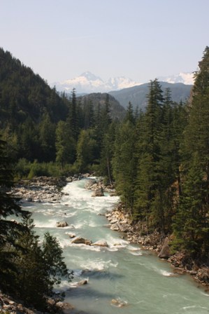a0100975_13321820.jpg