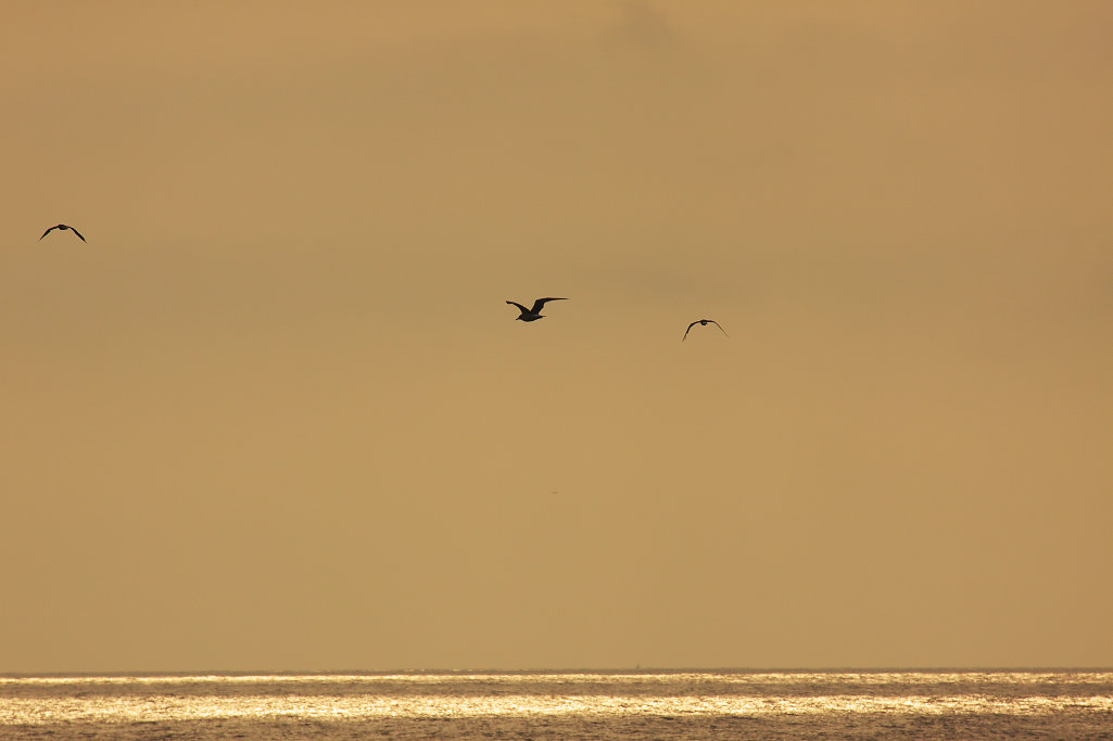 b0083779_854502.jpg