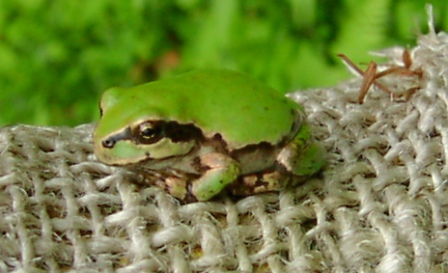 a0091680_11331882.jpg