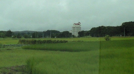 a0091680_11465796.jpg