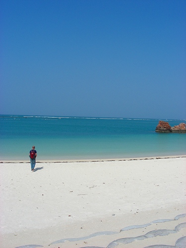 e0187081_0354780.jpg