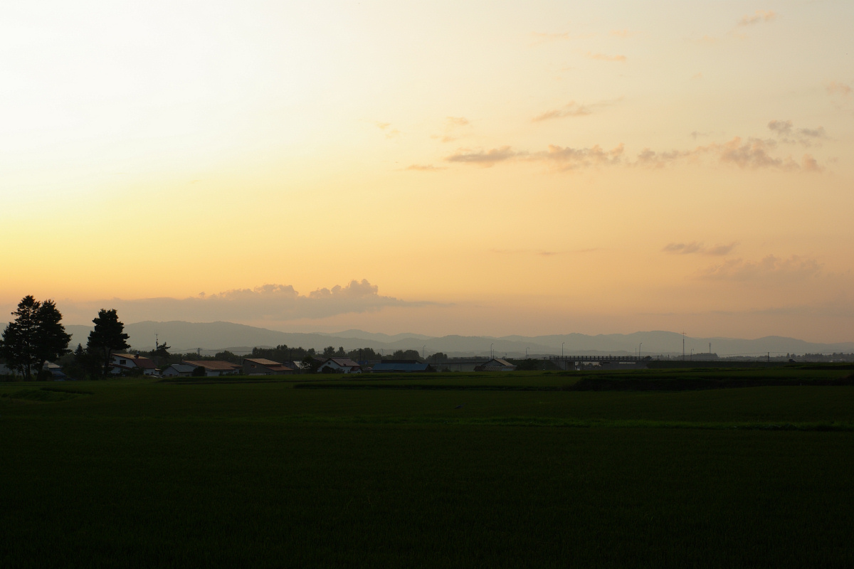 e0051186_202356100.jpg