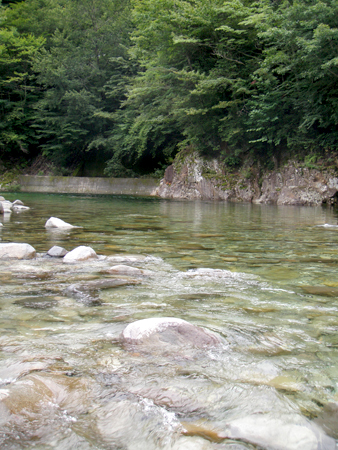 b0178889_12115520.jpg