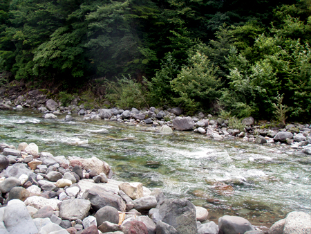 b0178889_12715.jpg