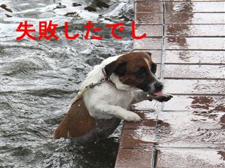 e0121589_025116.jpg