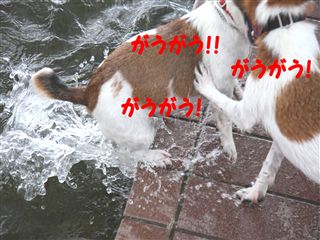 e0121589_0273040.jpg
