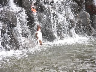 e0121589_114311.jpg