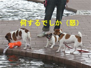 e0121589_11533.jpg