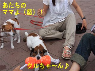 e0121589_120406.jpg