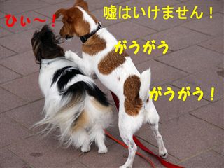 e0121589_182218.jpg