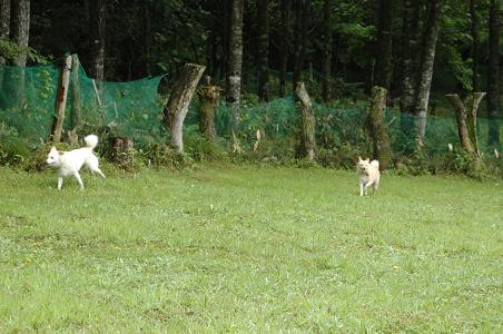 c0123890_1114444.jpg