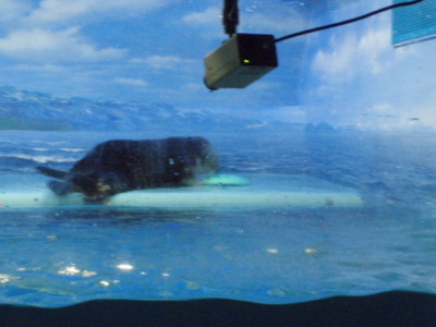 c0086895_1617507.jpg