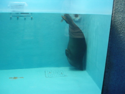 c0086895_16184611.jpg