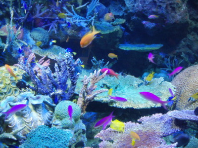 c0086895_16262185.jpg