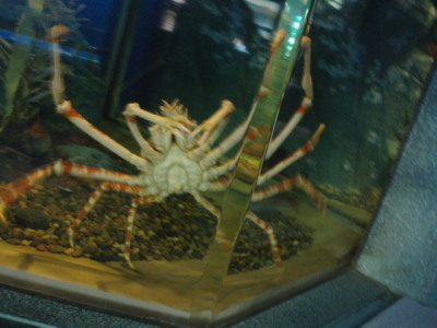 c0086895_1627574.jpg