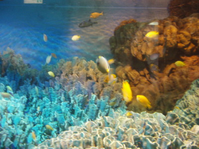 c0086895_16372294.jpg
