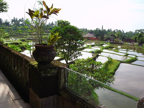 a0036499_22415553.jpg