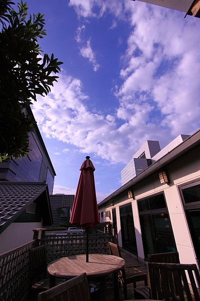 e0117503_2555024.jpg