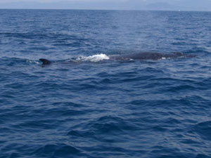 f0048405_150332.jpg