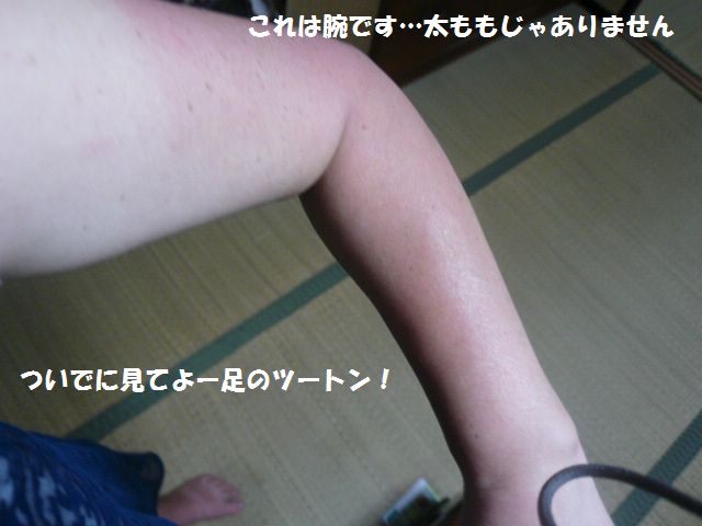e0094407_15435423.jpg
