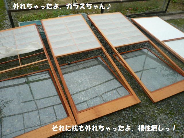 e0094407_16363280.jpg