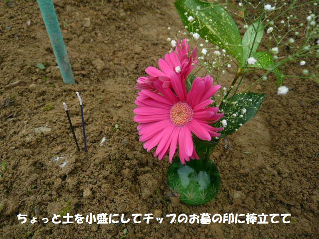 e0094407_18354164.jpg
