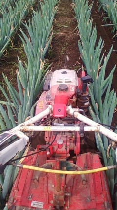d0126708_22151686.jpg