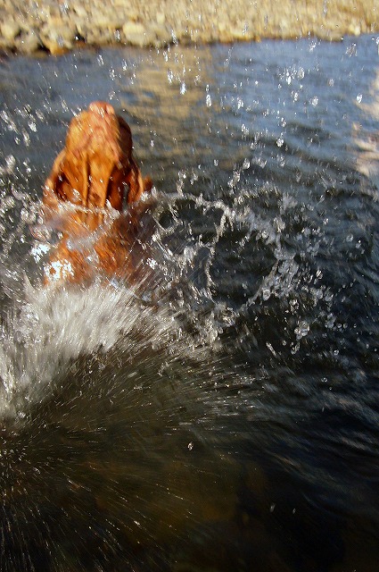 c0108810_22154.jpg