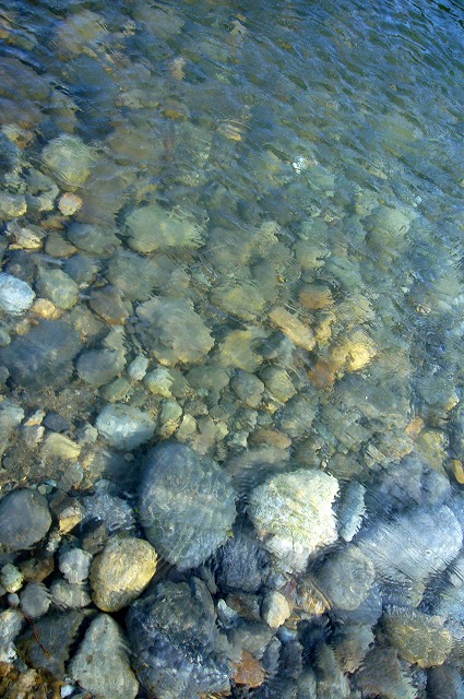 c0108810_2314596.jpg