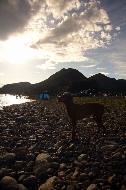 c0108810_2315980.jpg
