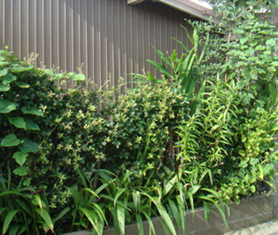 a0019212_2249148.jpg