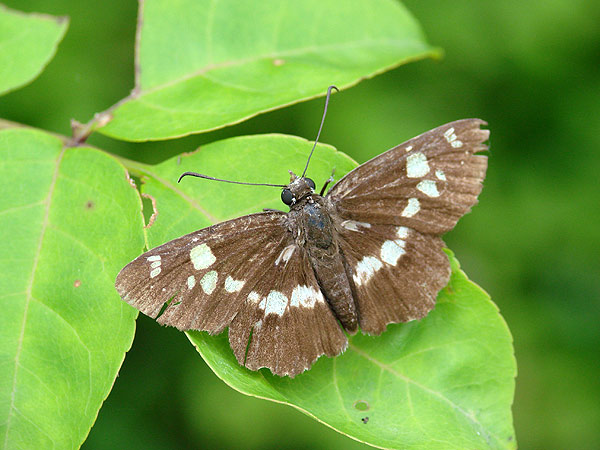 b0033112_2124640.jpg