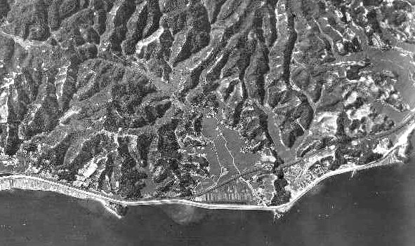 e0125014_55769.jpg