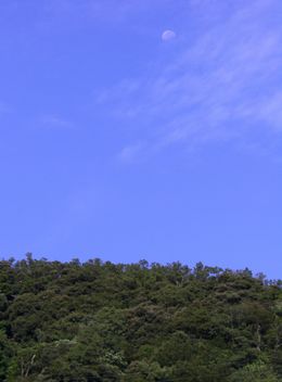 c0152123_10513299.jpg