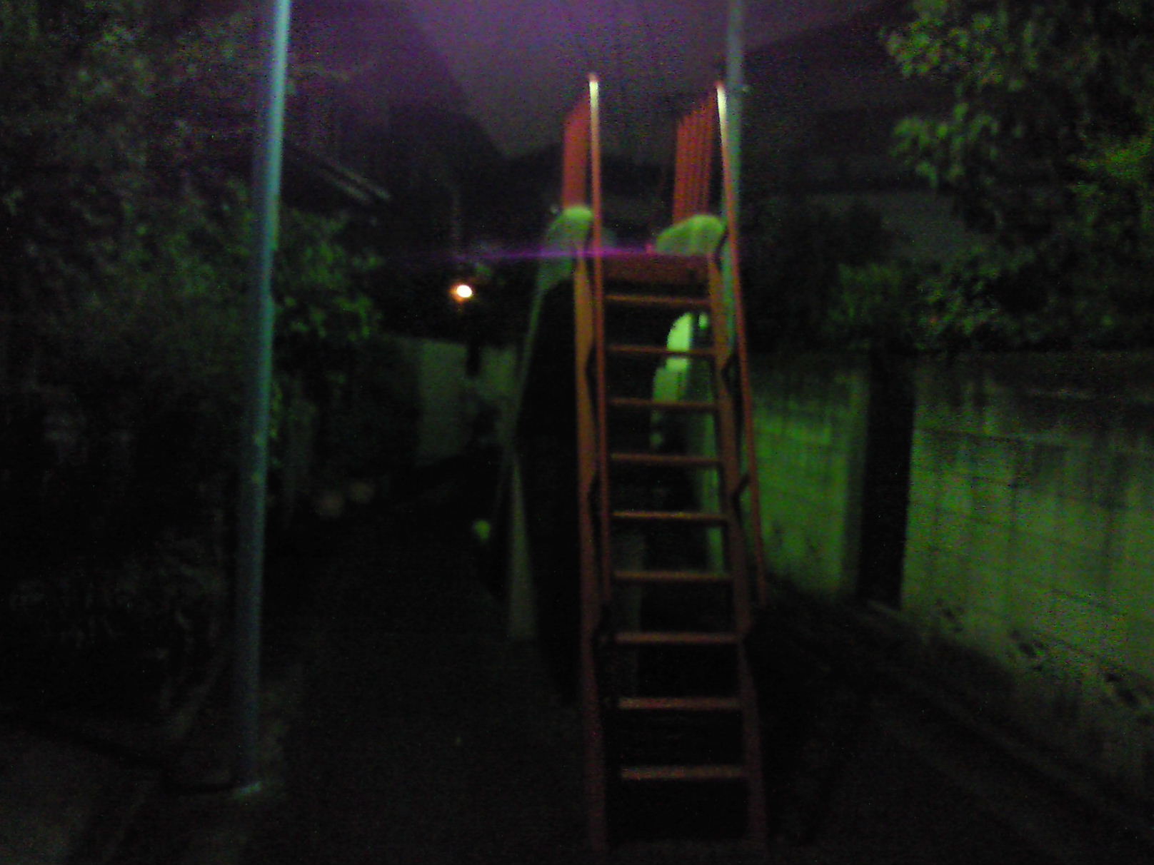 e0114823_1273287.jpg