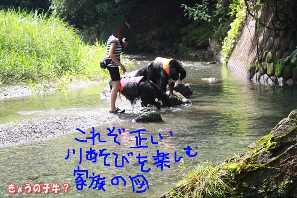 f0203423_1735128.jpg