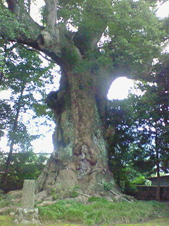 d0023725_17281286.jpg