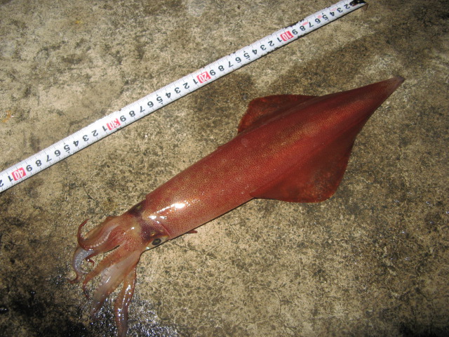 c0168626_12545384.jpg