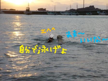 f0176830_1841365.jpg