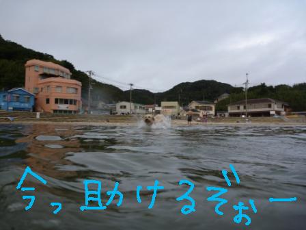 f0176830_18465931.jpg