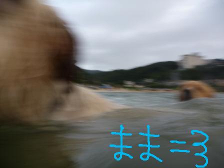 f0176830_18491076.jpg