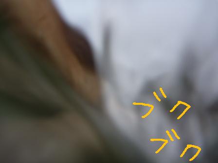 f0176830_18494160.jpg