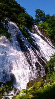 d0008832_1454583.jpg