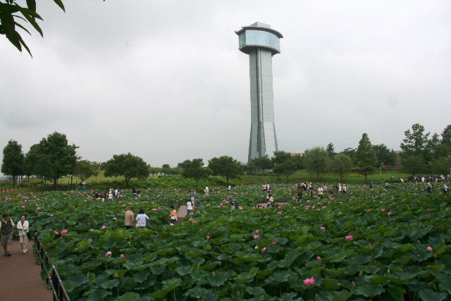 e0064133_23373718.jpg