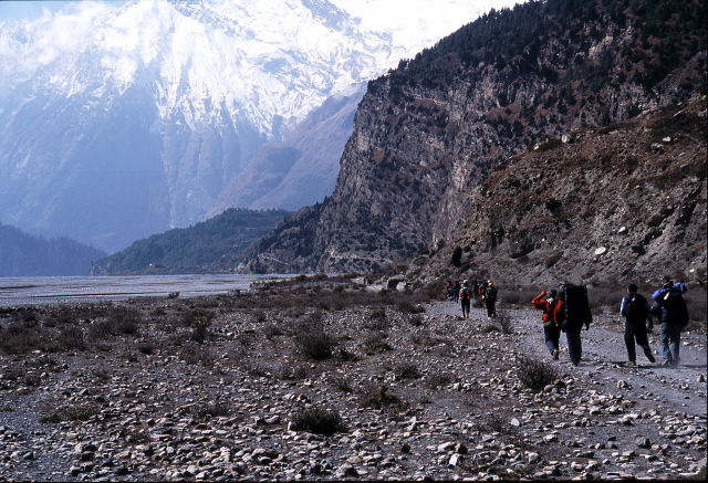d0091834_17232743.jpg