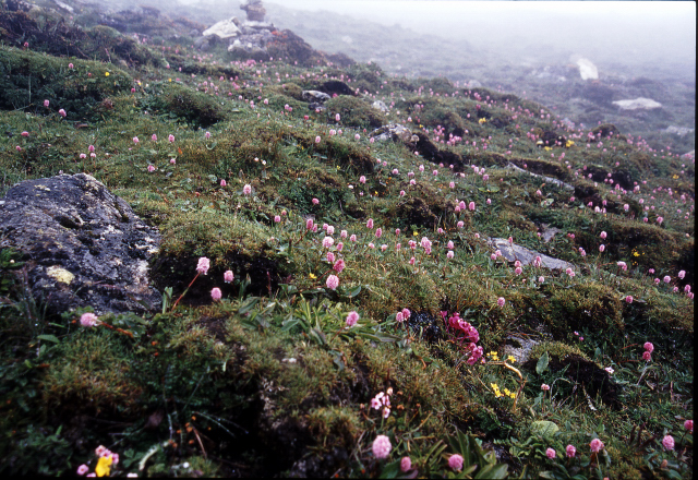 d0091834_17261387.jpg