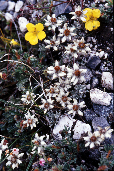 d0091834_1726154.jpg